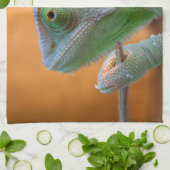 ベール付きカメレオン キッチンタオル (折り畳み)