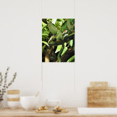 ベール付きカメレオン ポスター (キッチン)