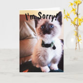 ベール誕生日I'mごめん可愛いシャムキッテン カード (黄色い花)