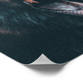 ベー怒ティース黒熊のうなり声 ポスター (角)