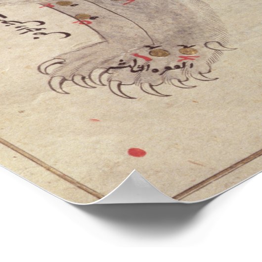 ベー素晴らしム、エルフセインの後の星の本から ポスター (角)