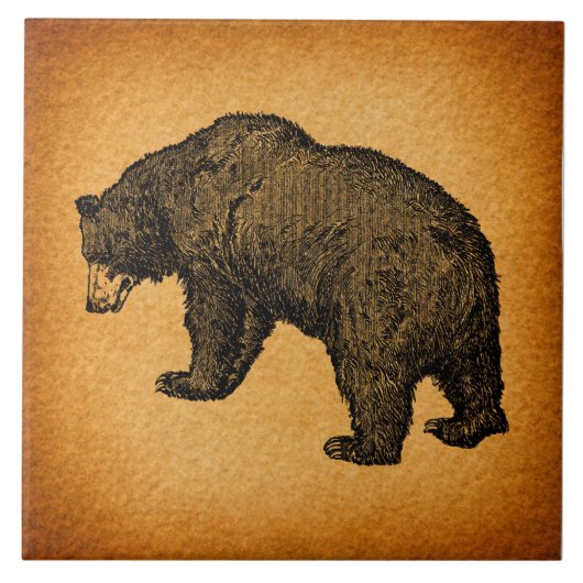 ベー素朴図解入りの、写真付きのアー タイル (正面)