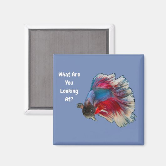 ベ怒ターの魚と戦う何を見てる？ マグネット (正面/裏面)