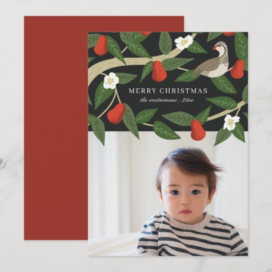 ペアの木の美しいキジバト | クリスマス写真 シーズンカード (正面/裏面)