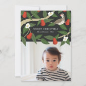 ペアの木の美しいキジバト | クリスマス フォト (正面)