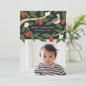 ペアの木の美しいキジバト | クリスマス フォト (スタンド正面)