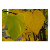 ペアの秋レッドブ葉ドオータム写真 (正面横)