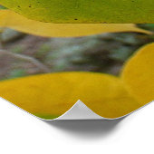 ペアの秋レッドブ葉ドオータム写真 ポスター (角)