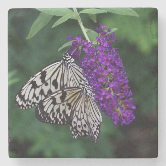 ペアの紙カイトチョウ ストーンコースター (正面)