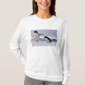 ペアアデリーペンギン南極 Tシャツ (正面)