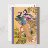 ペアコックステート ポストカード (正面/裏面)