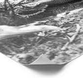 ペイオットバスケットメーカー: 1902 ポスター (角)