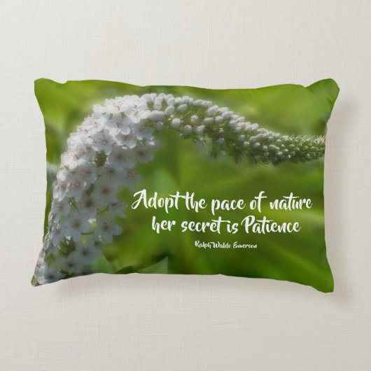 ペイシャンス引用文ホワイ感動的トフラワー  アクセントクッション (裏面)