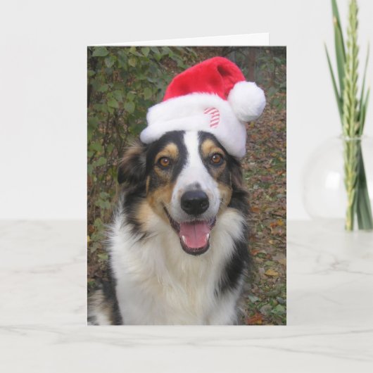 「ペイジ遊ュサンタさん!」 シーズンカード (正面)