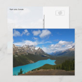 ペイトレイクハガキ ポストカード (正面/裏面)