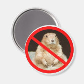 ペイリエドガー マグネット (正面/裏面)