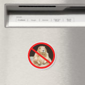 ペイリエドガー マグネット (インサイチュ (食洗機))