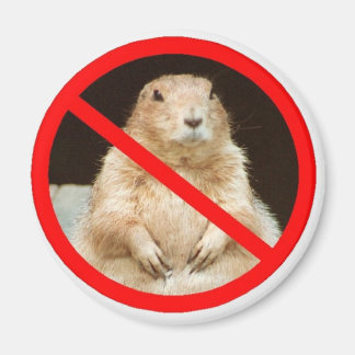 ペイリエドガー マグネット