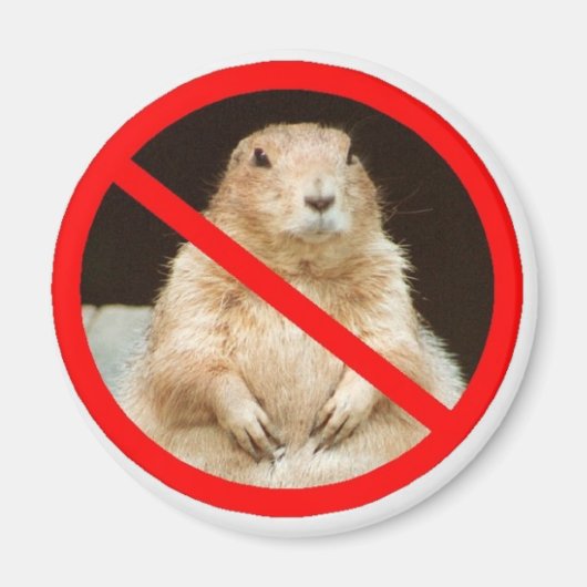 ペイリエドガー マグネット (正面)