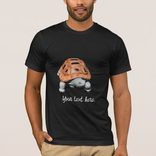 ペイントされたカボチャガメのTシャツ Tシャツ (正面)