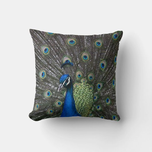 ペイントされたクジャクの枕 クッション (正面)