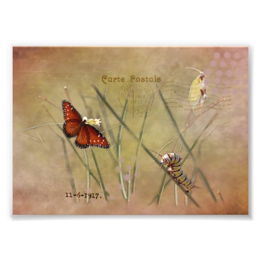 ペイントされた女性混合メディア フォトプリント            (正面)