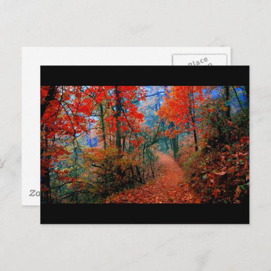 ペイントされた森の秋の炎の水彩ギフト ポストカード (正面/裏面)