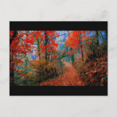 ペイントされた森の秋の炎の水彩ギフト ポストカード (正面)