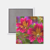 ペイントタンの花のアップ - マグネット (正面/裏面)