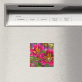 ペイントタンの花のアップ - マグネット (インサイチュ (食洗機))