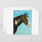ペイントホース ポストカード (正面/裏面)
