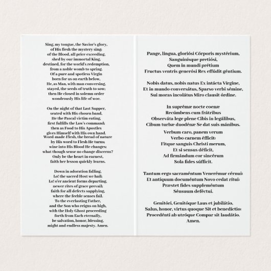 ペインLingua Gloriosi名刺 名刺 (内部フラット)