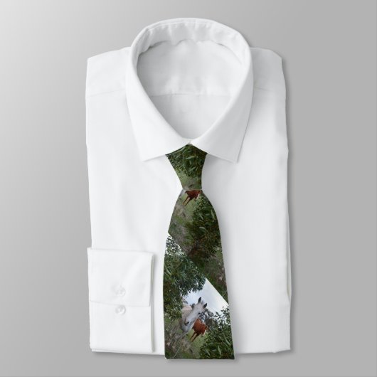 ペエカボウの馬 ネクタイ (タイ)