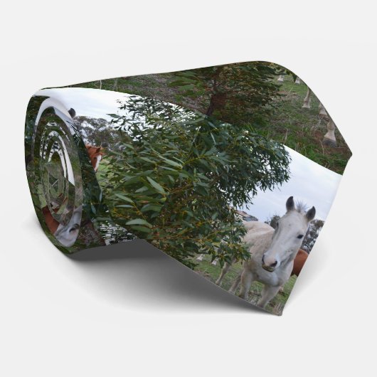 ペエカボウの馬 ネクタイ (ロール)