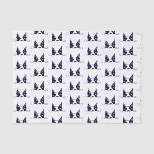 ペエカボーティッシュペーパー 薄葉紙 (正面)