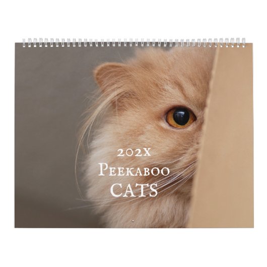 ペエカボー猫カレンダー カレンダー (カバー)