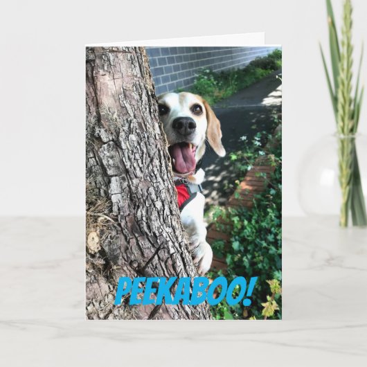 ペエカボー カード (正面)