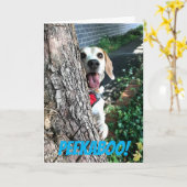 ペエカボー カード (黄色い花)