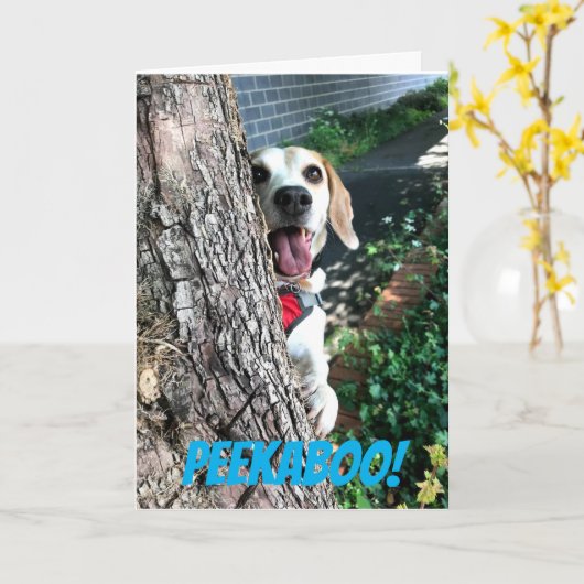 ペエカボー カード (黄色い花)