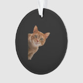 ペエカボ絵を描ー オーナメント (正面)