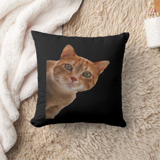 ペエカボ絵を描ー クッション (ブランケット)