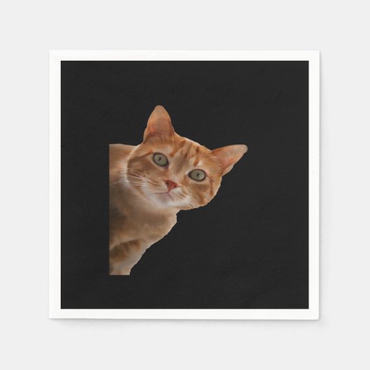 ペエカボ絵を描ー スタンダードカクテルナプキン (正面)