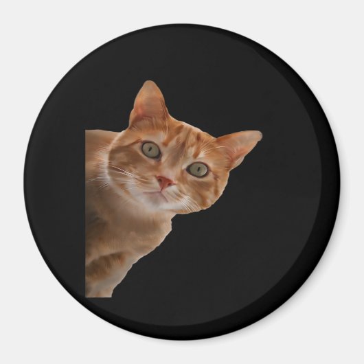 ペエカボ絵を描ー マグネット (正面)