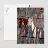 ペカブー絵を描州 ポストカード (正面/裏面)