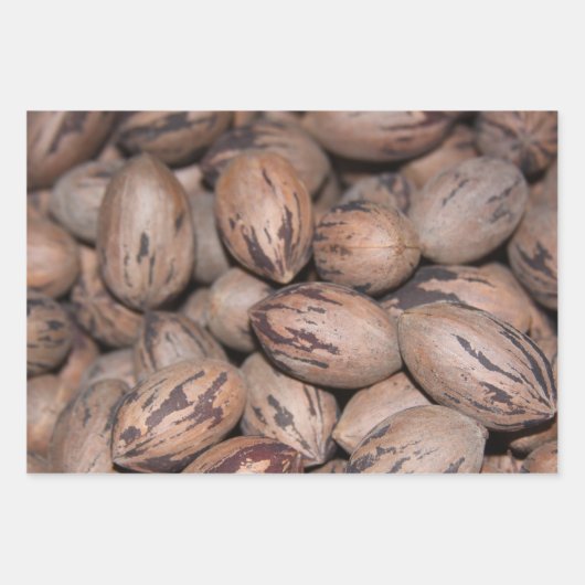 ペカンラッピング紙 ラッピングペーパーシート (正面)