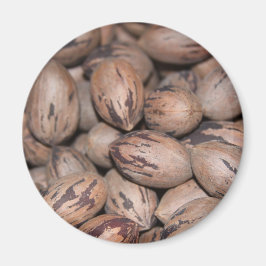 ペカン磁石 マグネット