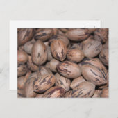 ペカン葉書 ポストカード (正面/裏面)