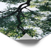 ペカン ポスター (角)