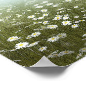 ペガサスのデイジー ポスター (角)