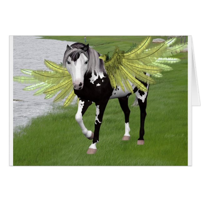 ペガサスドリームズ (正面横)